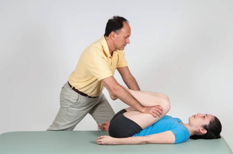 https://learnmuscles.com/product/manual-therapy-for-the-low-back-and-pelvis-a-clinical-orthopedic-approach/